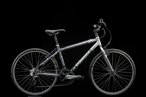 Ridgeback Cyclone technische daten